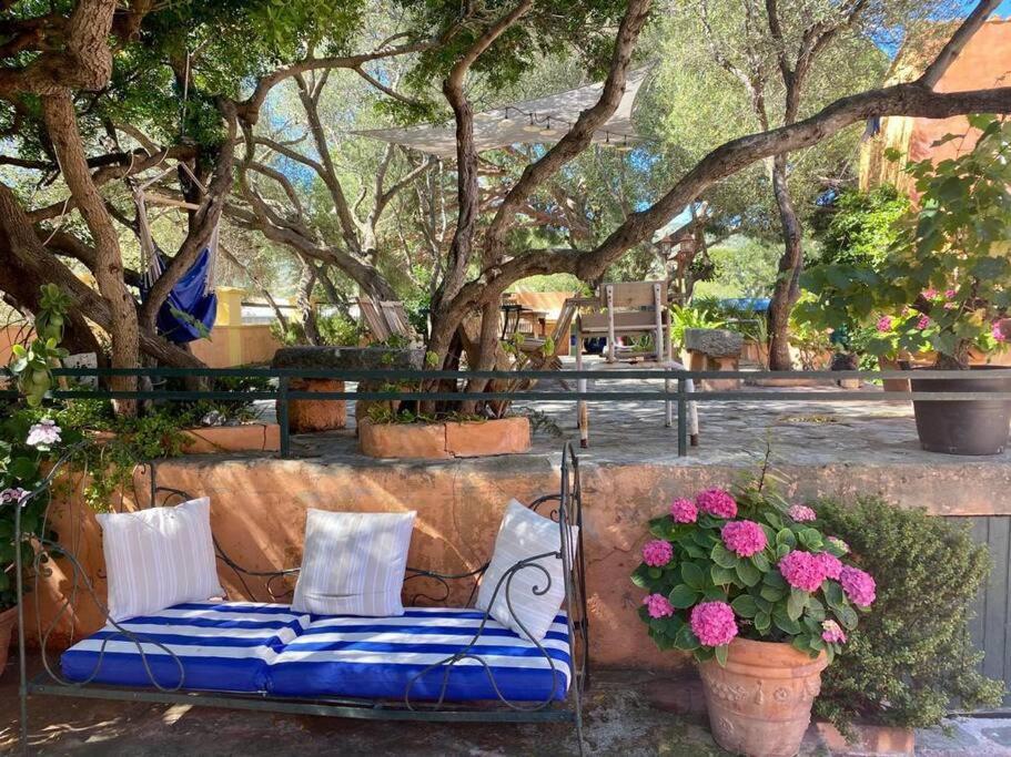 Villa Antonia Calvi  Exterior foto