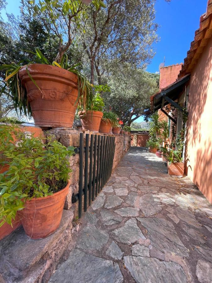 Villa Antonia Calvi  Exterior foto